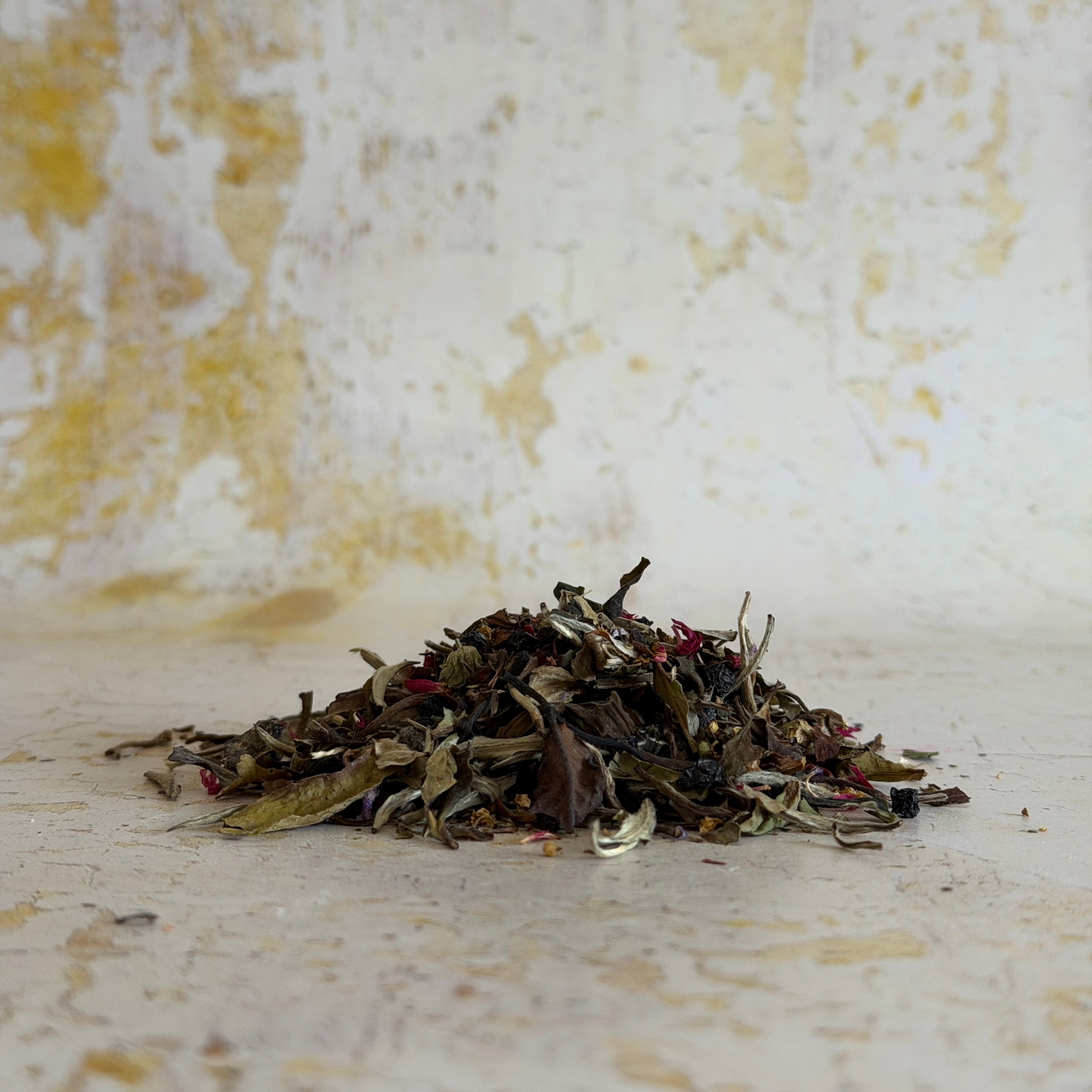 No. 13 Elderberry Cassis White Tea