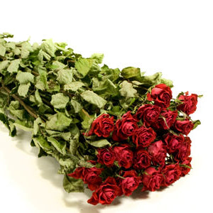 Natural Dried Red Roses