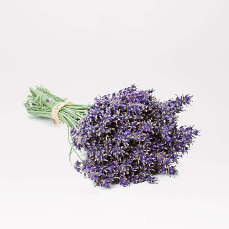 Dried Lavender Bunch