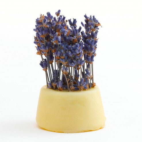 Lavender Mini Organic Soap